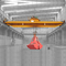 Orange 20 Tonnen ergreifen doppelter Träger-obenliegende Crane For Grab Material In-Werkstatt